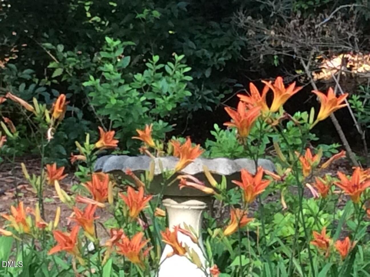 Kingston Ridge flowers - 1302 Kingston Ridge Road, Cary, NC 27511, Cary