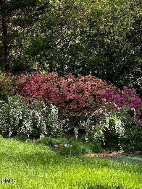 Kingston Ridge flowers 3 - 1302 Kingston Ridge Road, Cary, NC 27511, Cary