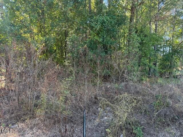644 Caulton Brown Road, Lillington, NC 27546