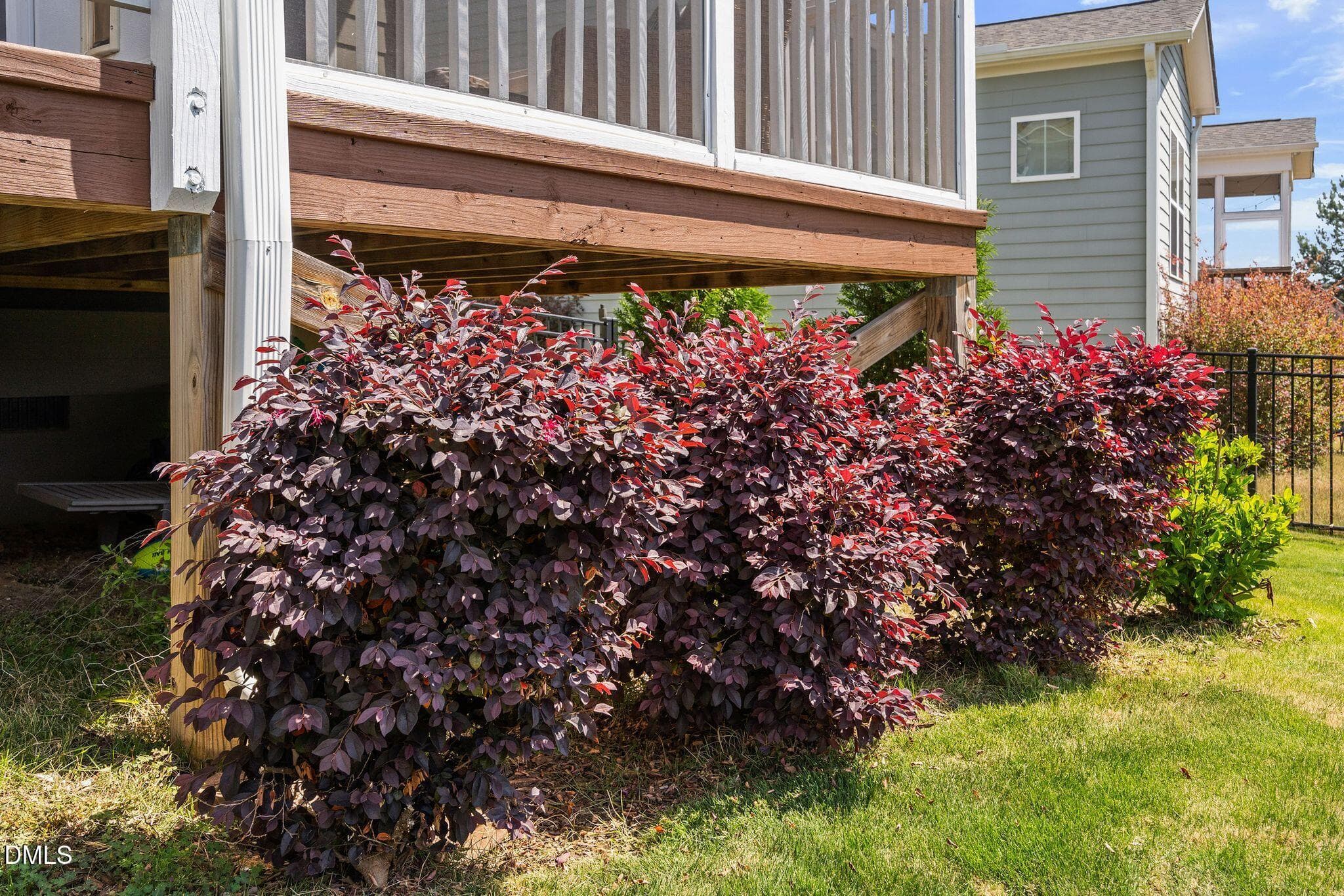 Back Yard - 428 Old Dairy Drive, Wake Forest, NC 27587, Wake Forest
