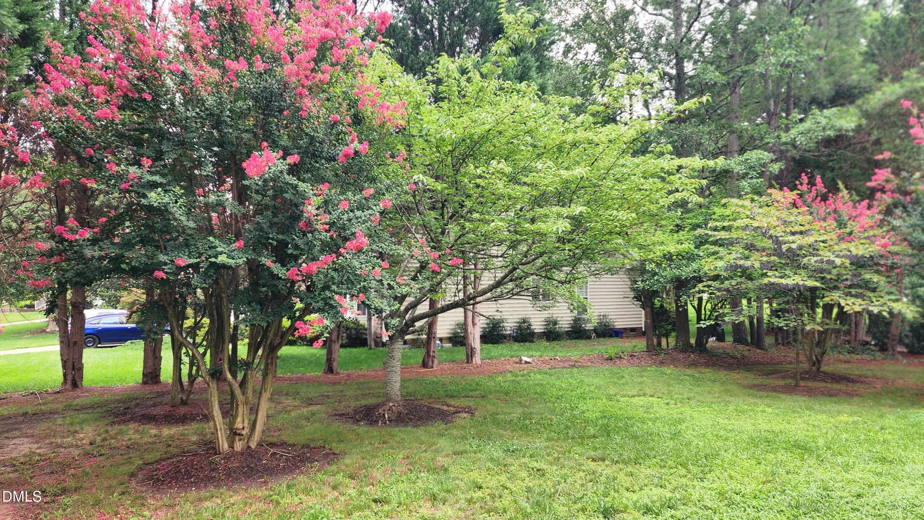 12-20260728_092906 - 1 Haycox Court, Durham, NC 27713
