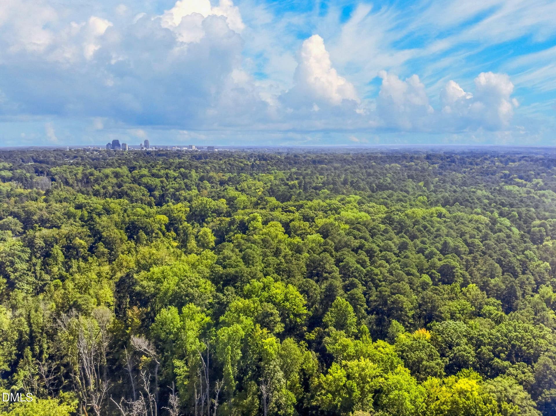 11-web-or-mls-1516 Pinecrest Road - 11 - 1516 Pinecrest Road, Durham, NC 27705