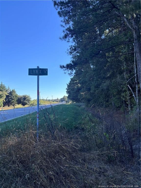 Lynx Lane, Hobgood, NC 27874