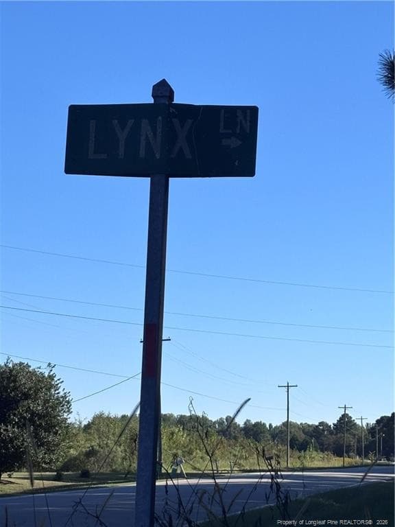 Photo 3 - Lynx Lane, Hobgood, NC 27874