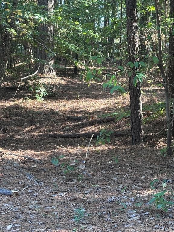Photo 5 - Lynx Lane, Hobgood, NC 27874