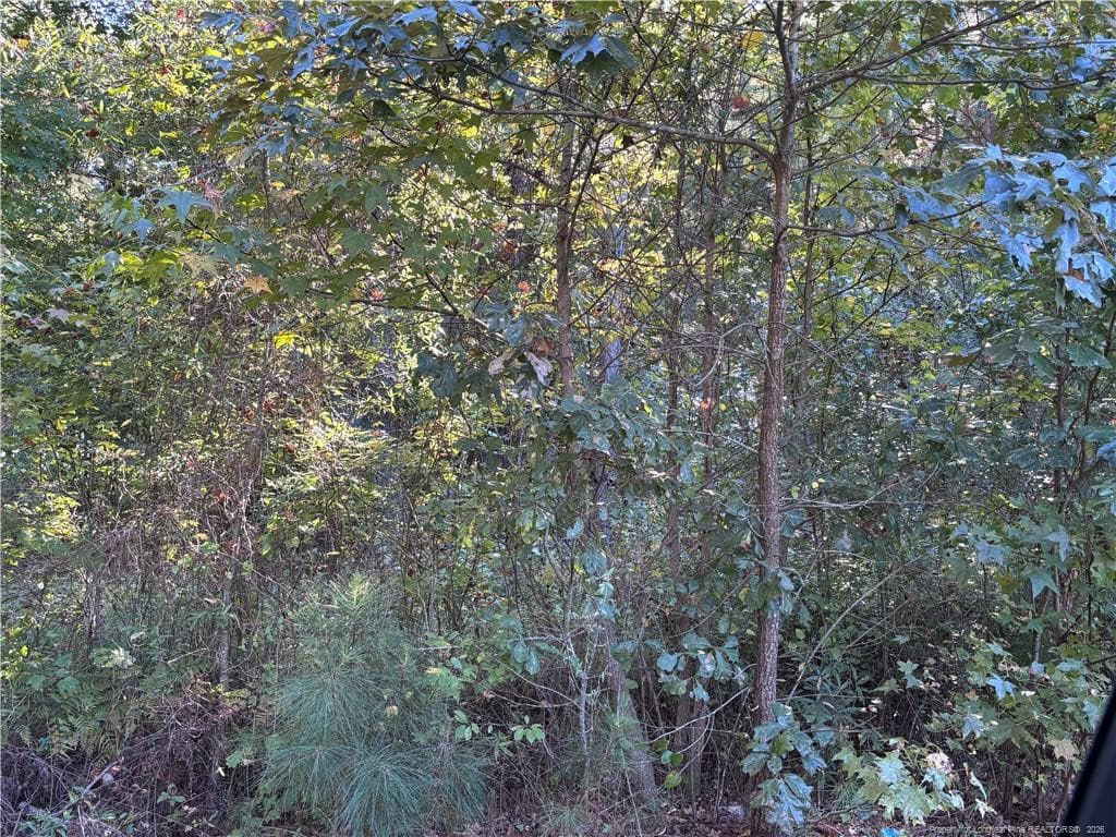 Photo 6 - Lynx Lane, Hobgood, NC 27874