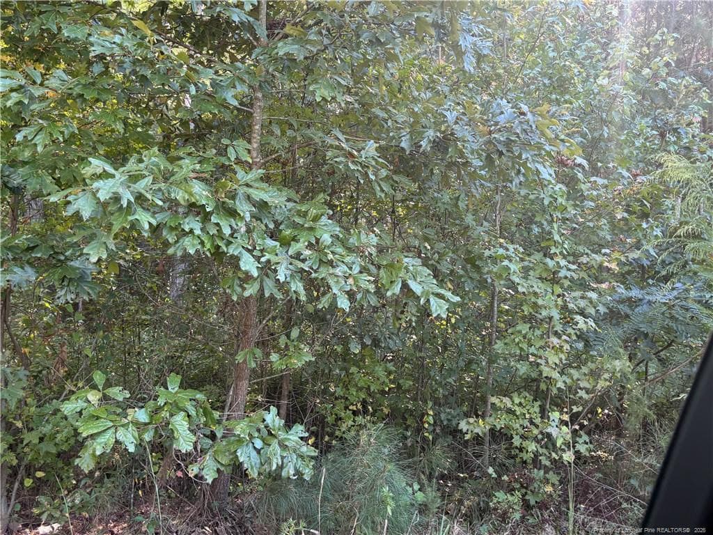 Photo 7 - Lynx Lane, Hobgood, NC 27874