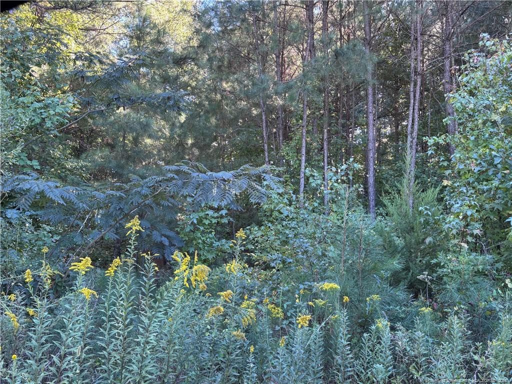 Photo 9 - Lynx Lane, Hobgood, NC 27874