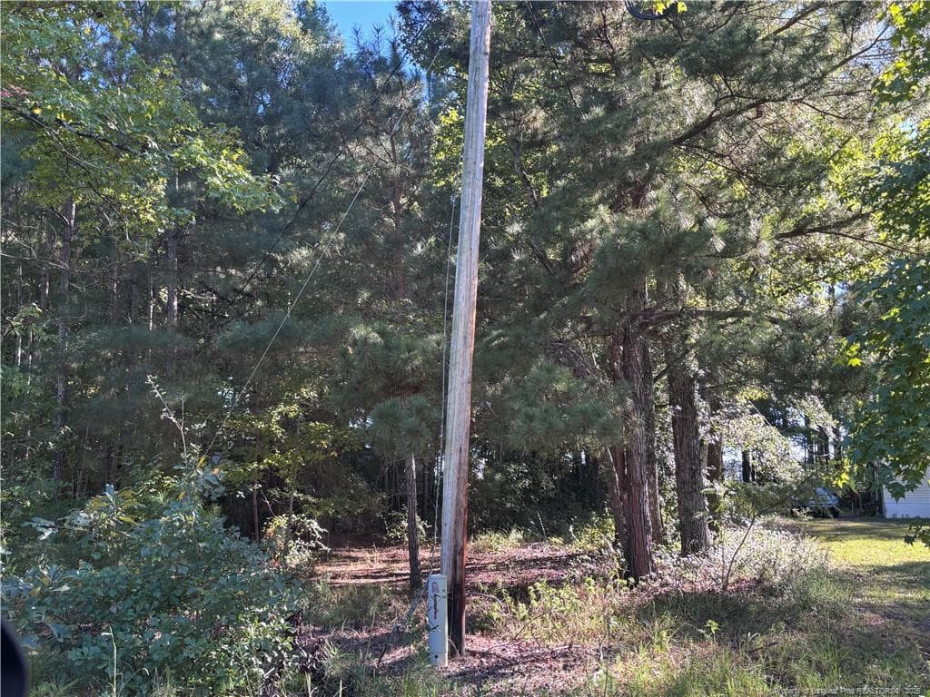 Photo 13 - Lynx Lane, Hobgood, NC 27874
