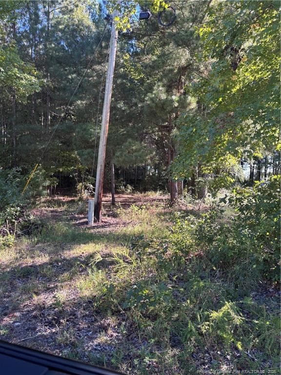 Photo 14 - Lynx Lane, Hobgood, NC 27874