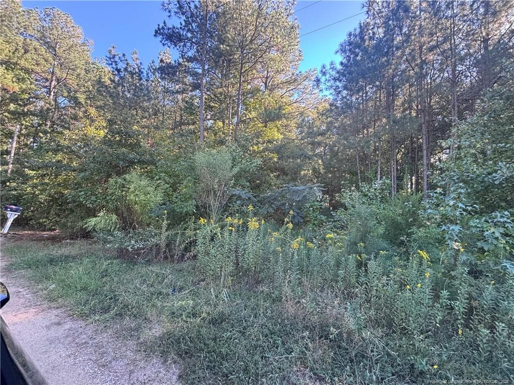 Photo 15 - Lynx Lane, Hobgood, NC 27874