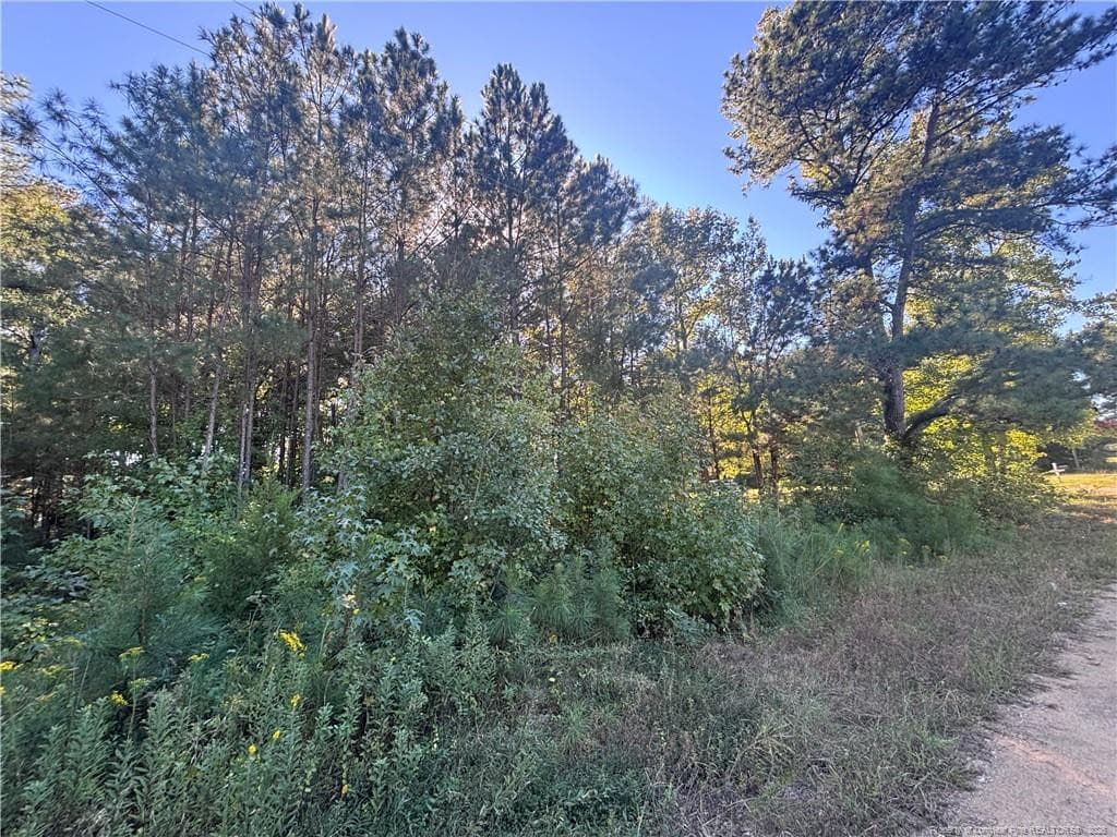 Photo 16 - Lynx Lane, Hobgood, NC 27874