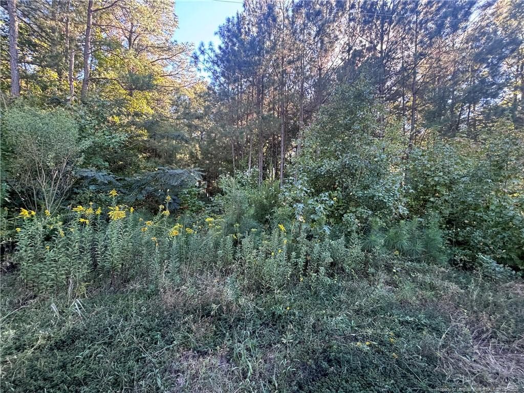 Photo 17 - Lynx Lane, Hobgood, NC 27874