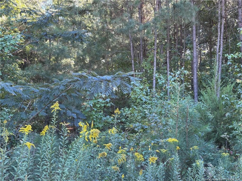 Photo 19 - Lynx Lane, Hobgood, NC 27874