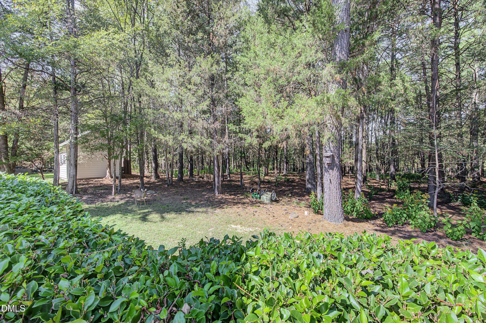 RC012 - Copy - 629 Red Cedar Circle, Durham, NC 27712