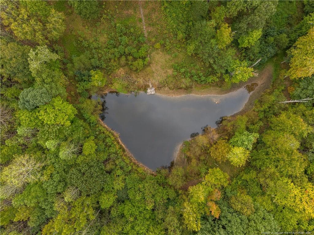 Photo 38 - 2851 Lower Moncure Road, Sanford, NC 27330, Sanford