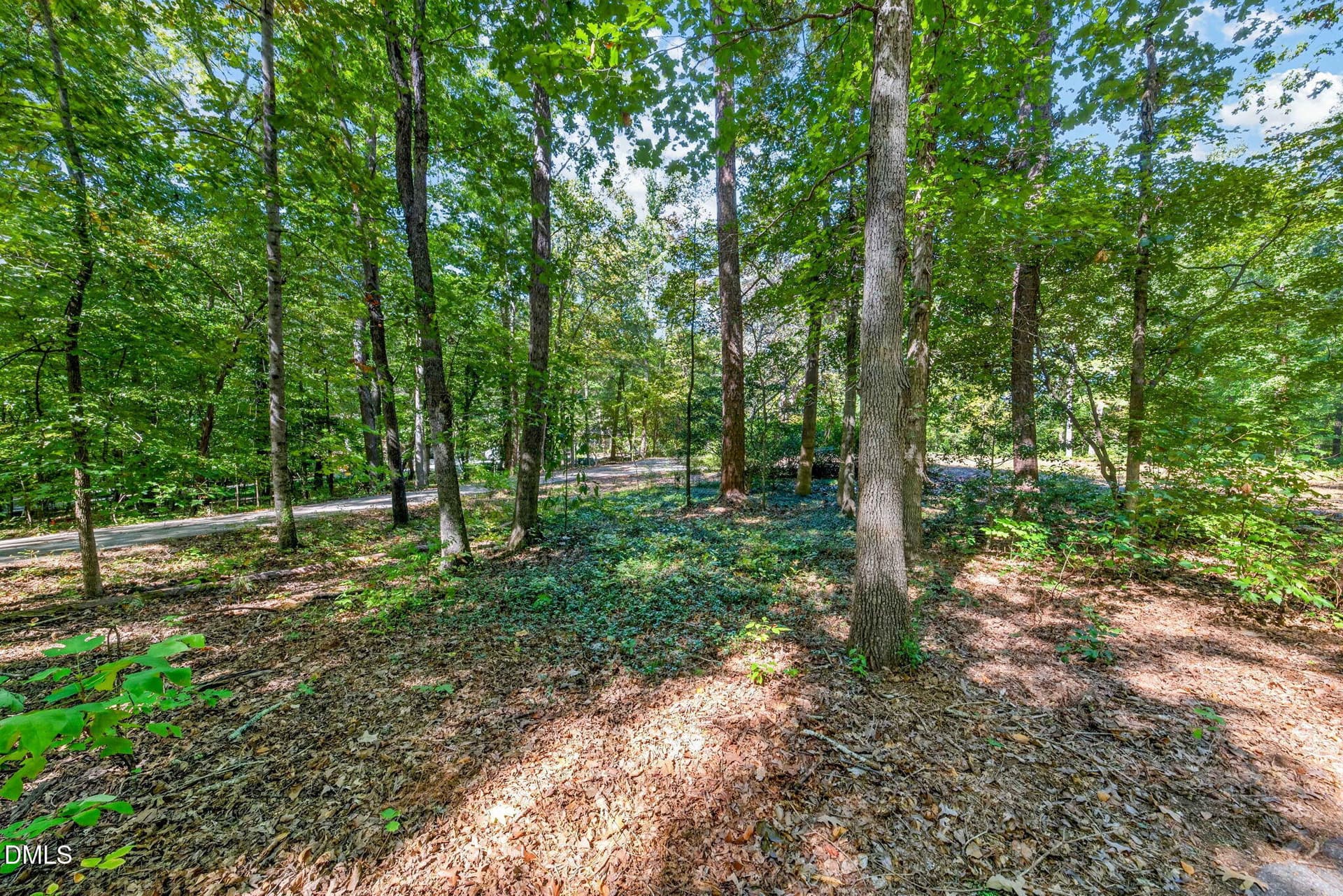 34-web-or-mls-1516 Pinecrest Rd - 34 - 1516 Pinecrest Road, Durham, NC 27705