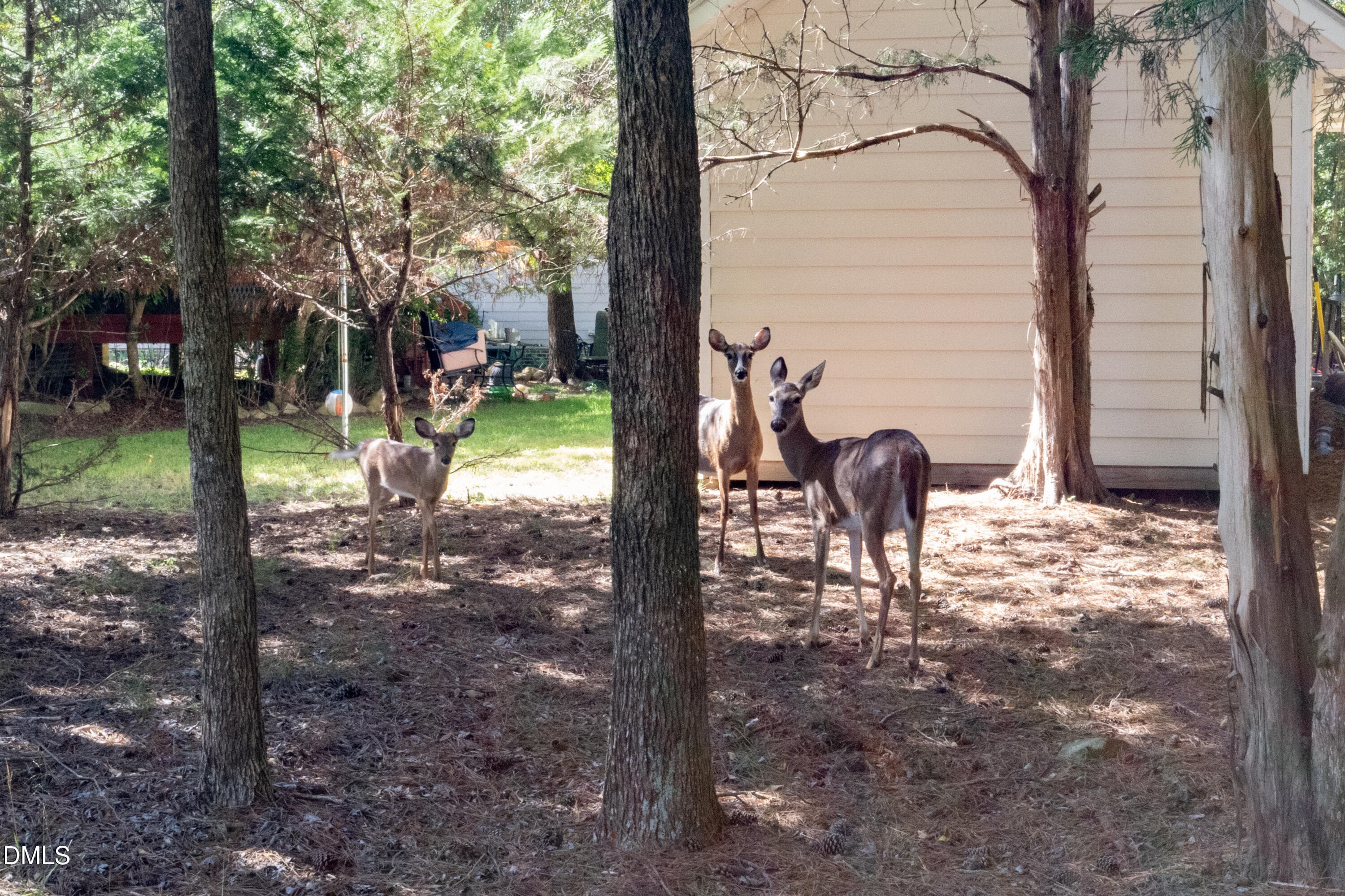 _NRB6014 - 629 Red Cedar Circle, Durham, NC 27712