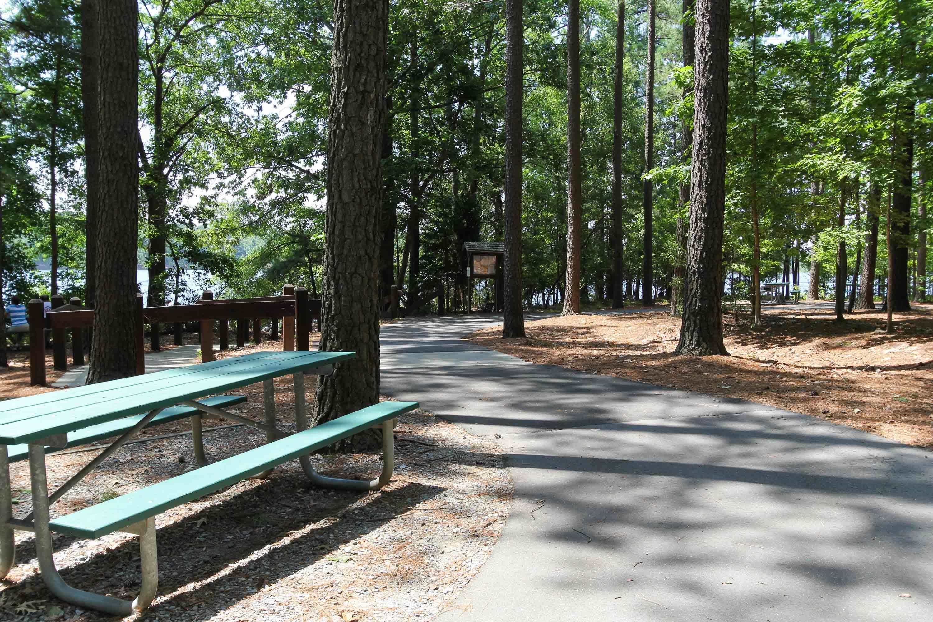 Photo 46 - 420 Calvander Lane, Apex, NC 27539