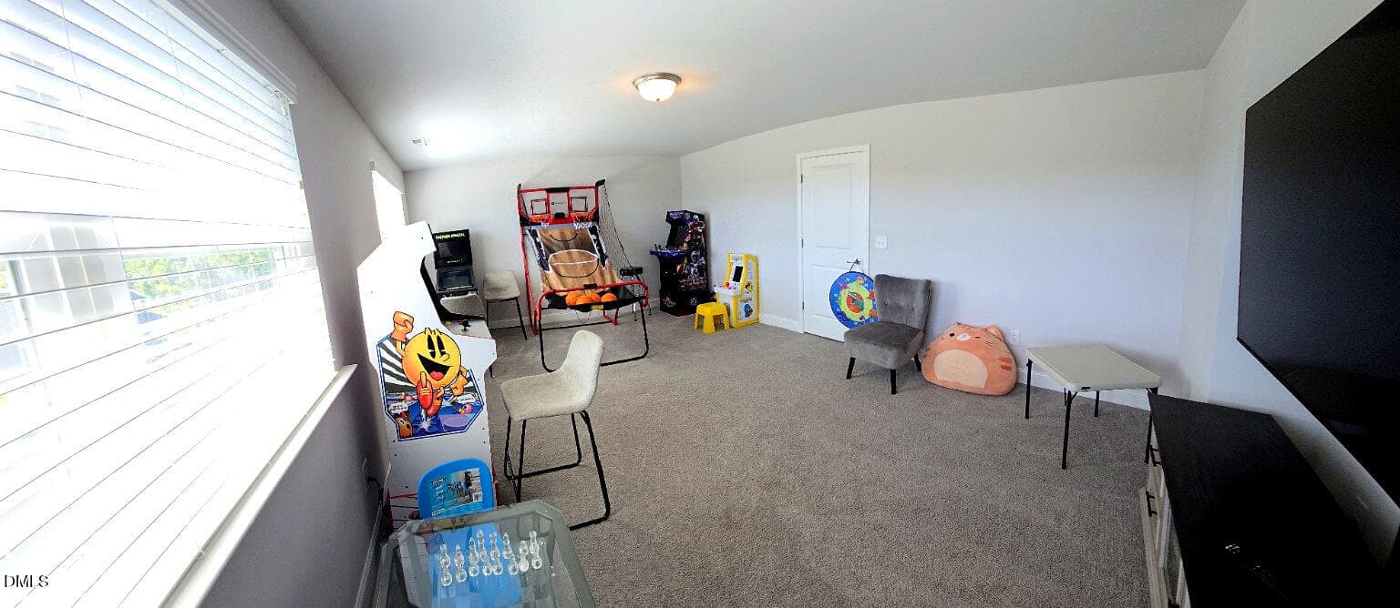 24. BONUS ROOM - 78 Bushel Basket Drive, Benson, NC 27504, Benson
