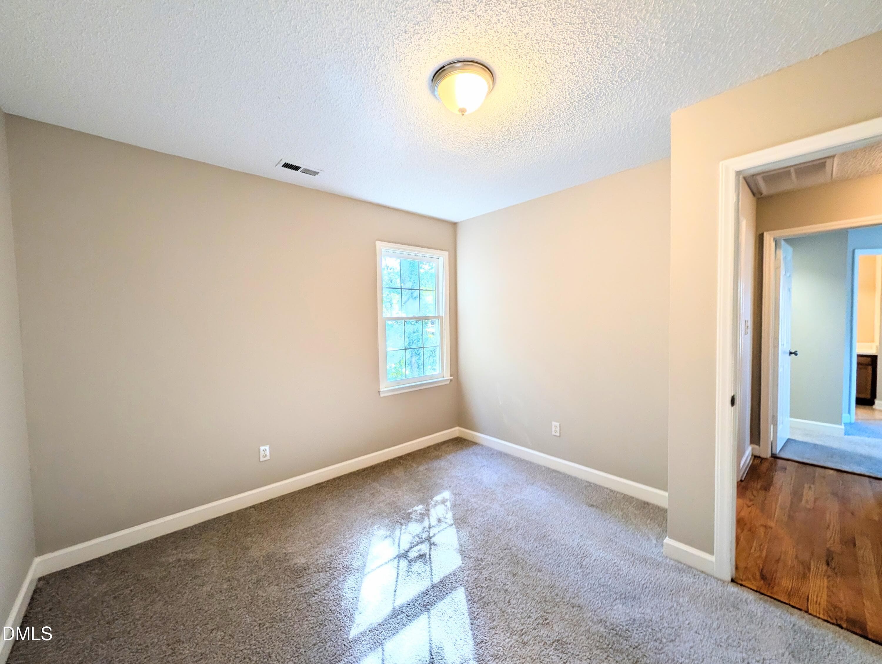 PXL_20261007_194359129 - 4320 Willow Lake Road, Raleigh, NC 27616