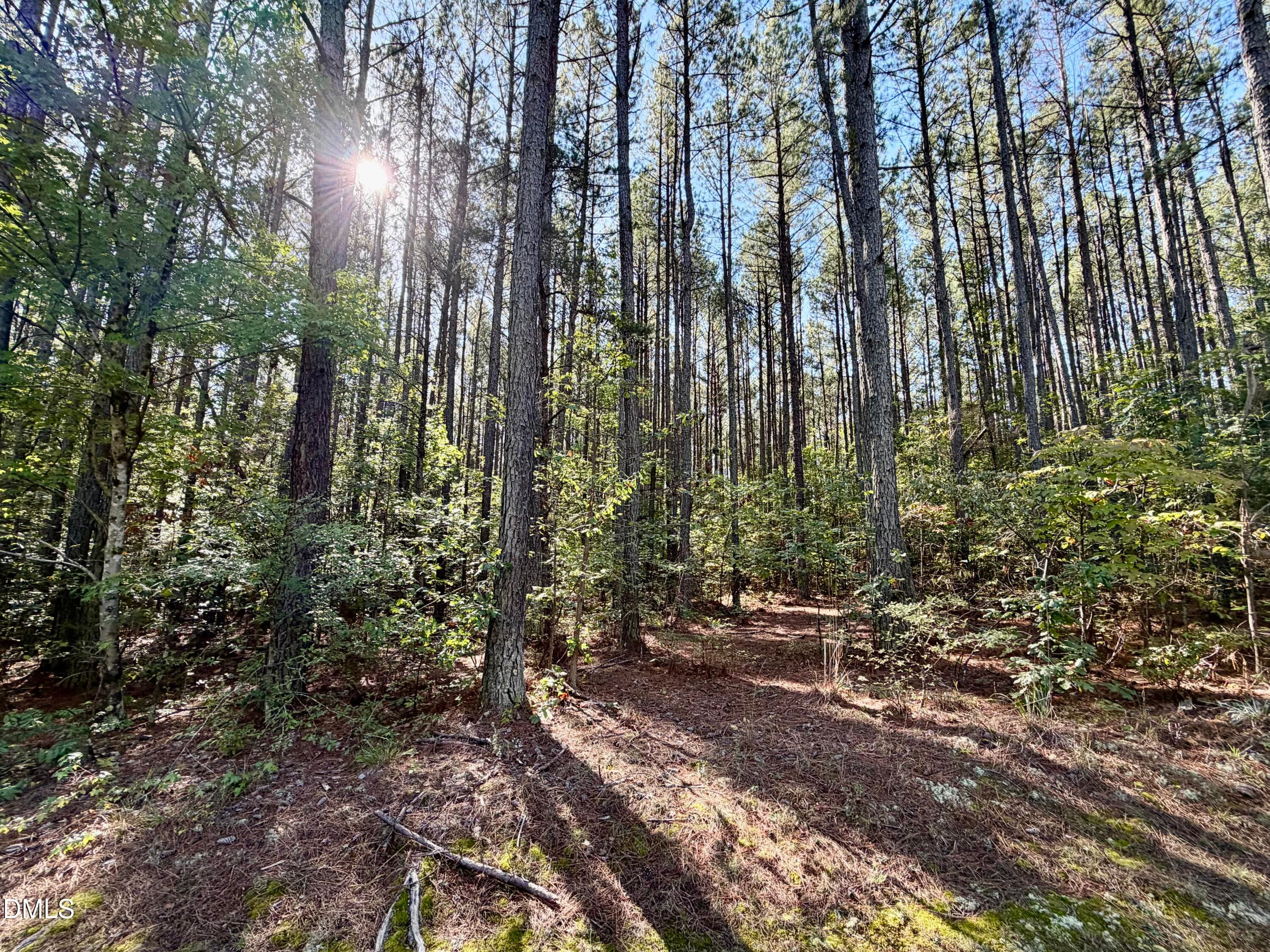 IMG_0439 - Lot 1 Shady Oak Road, Roxboro, NC 27574
