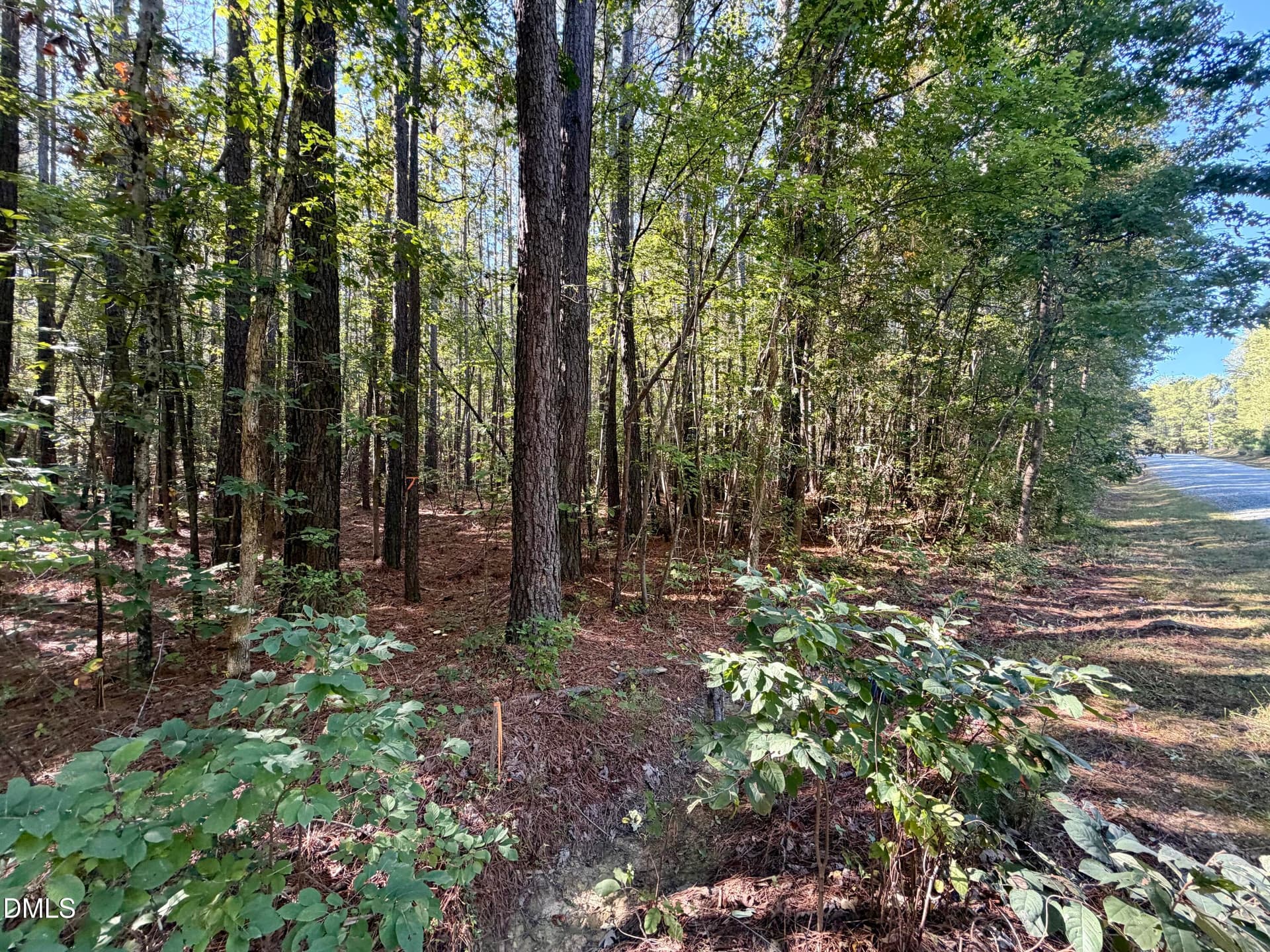 IMG_0440 - Lot 1 Shady Oak Road, Roxboro, NC 27574