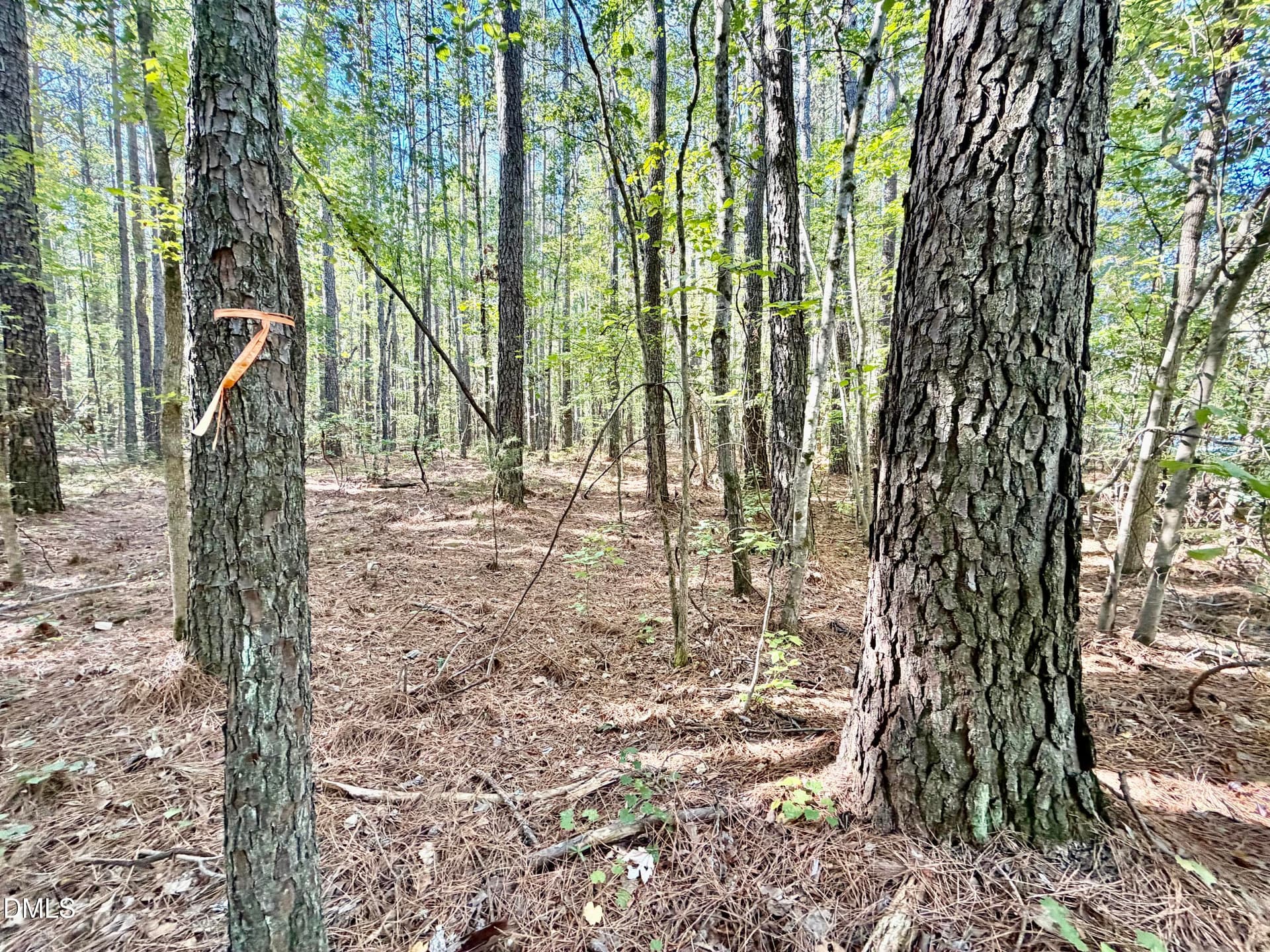 IMG_0441 - Lot 1 Shady Oak Road, Roxboro, NC 27574