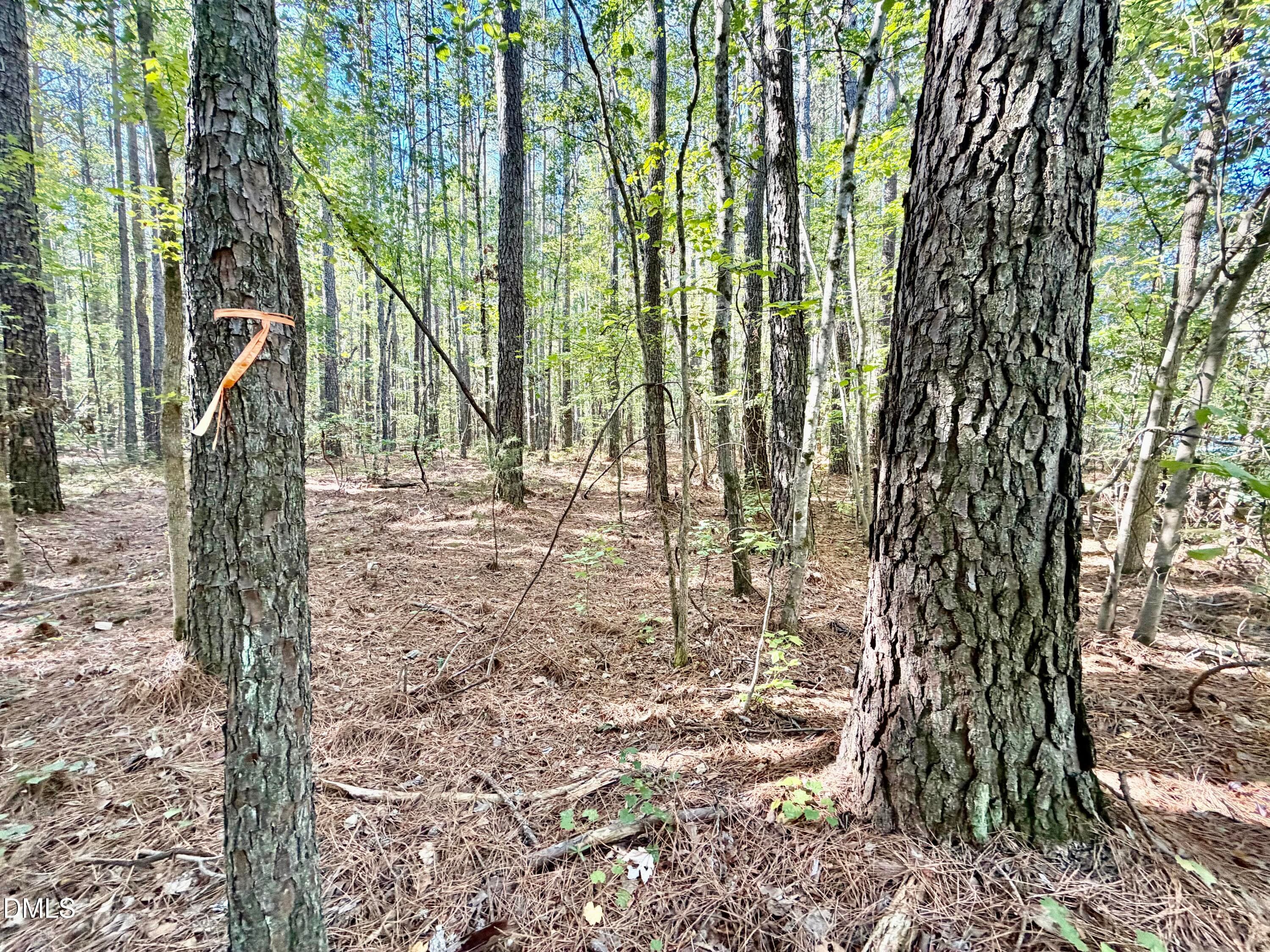 IMG_0441 - Lot 1 Shady Oak Road, Roxboro, NC 27574