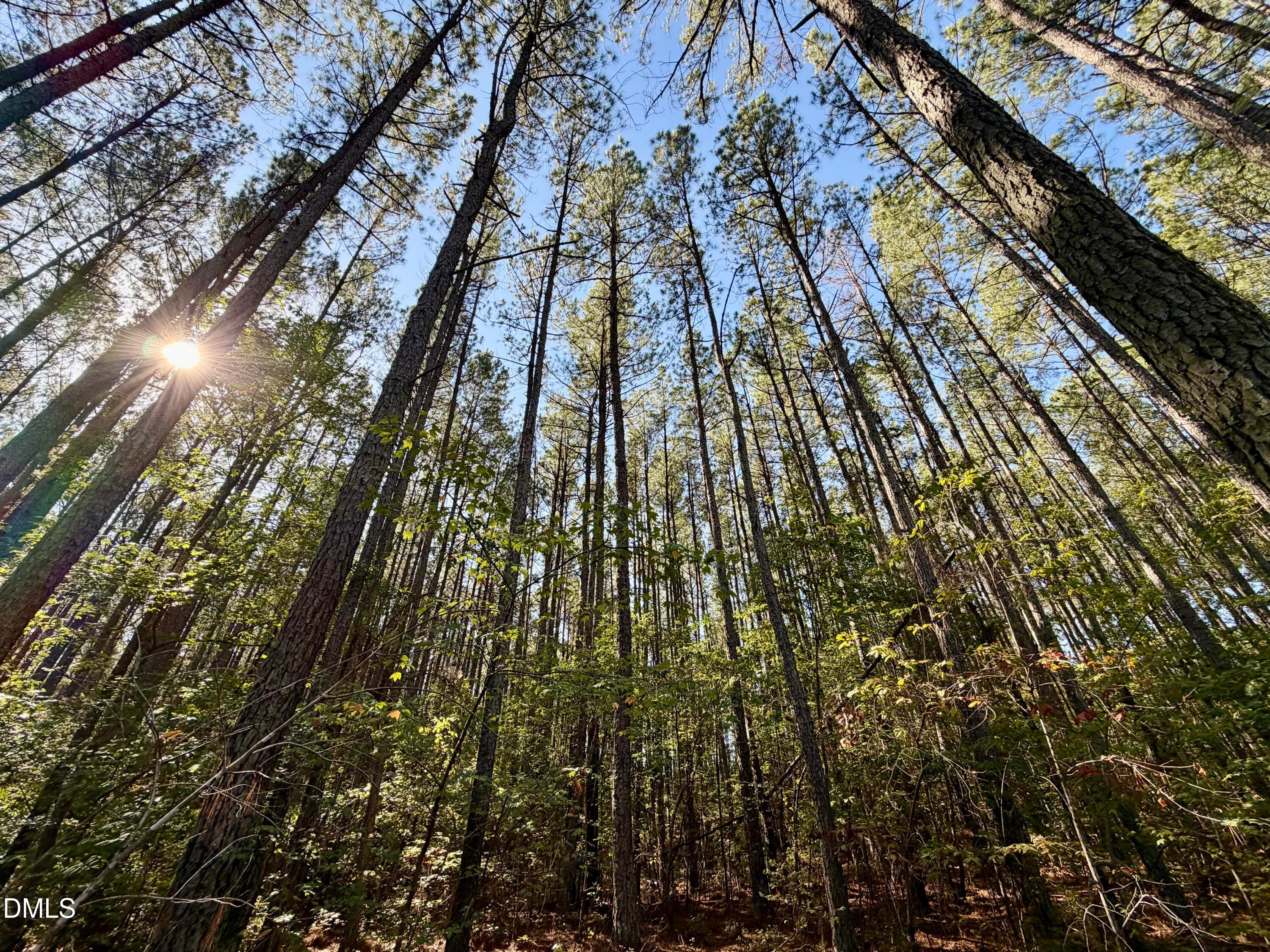 IMG_0442 - Lot 1 Shady Oak Road, Roxboro, NC 27574