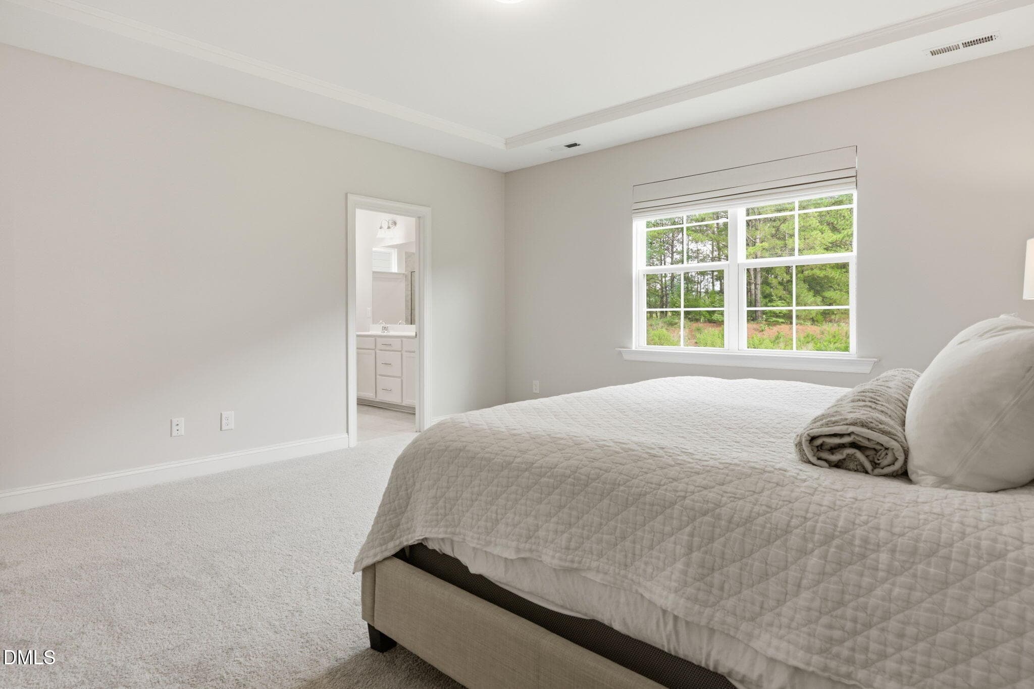 61-web-or-mls-IMG_5039 - 4921 Abundance Avenue, Raleigh, NC 27616