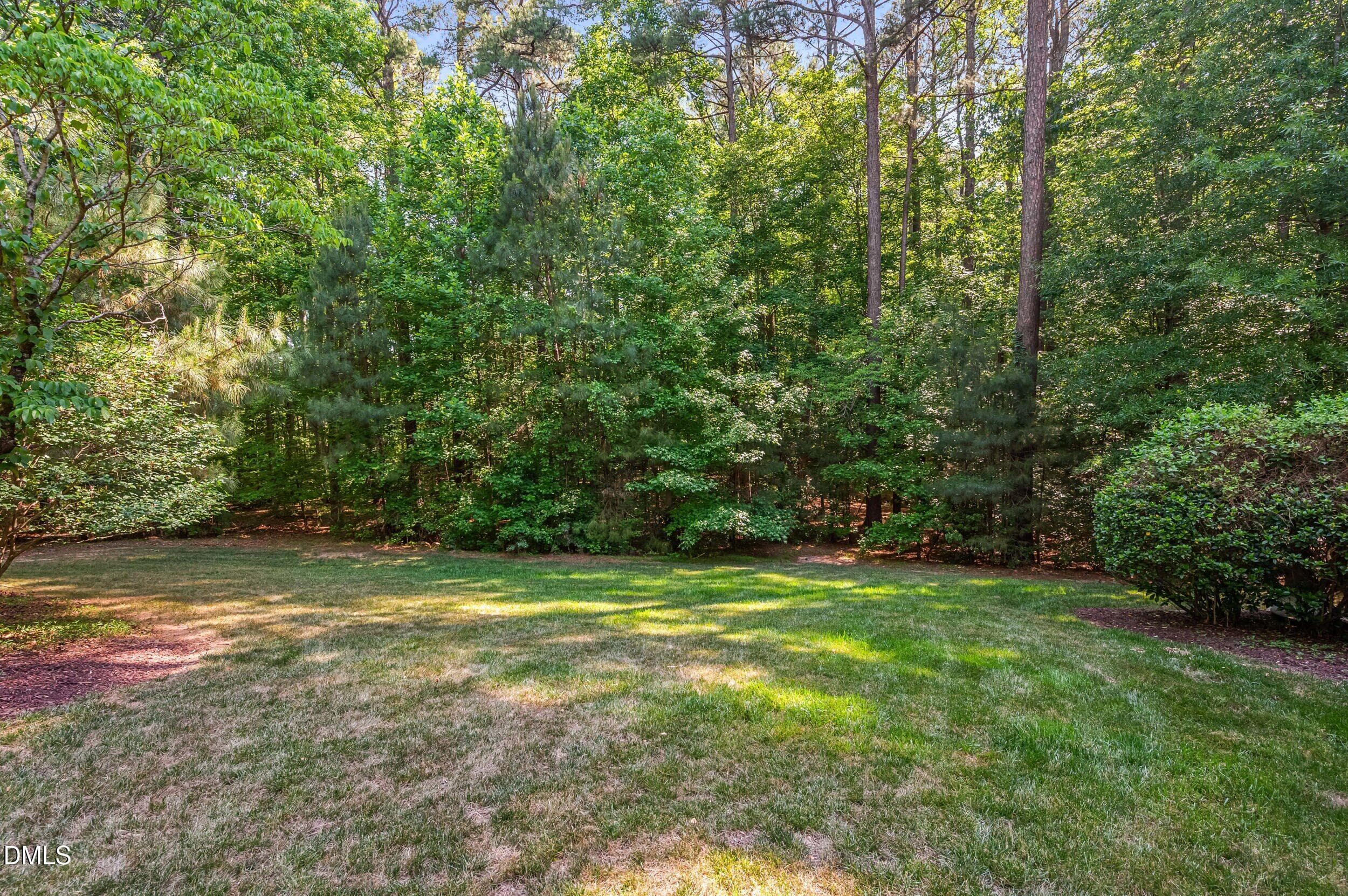 dsc_6196 - 8488 Falkirk Ridge Court, Wake Forest, NC 27587