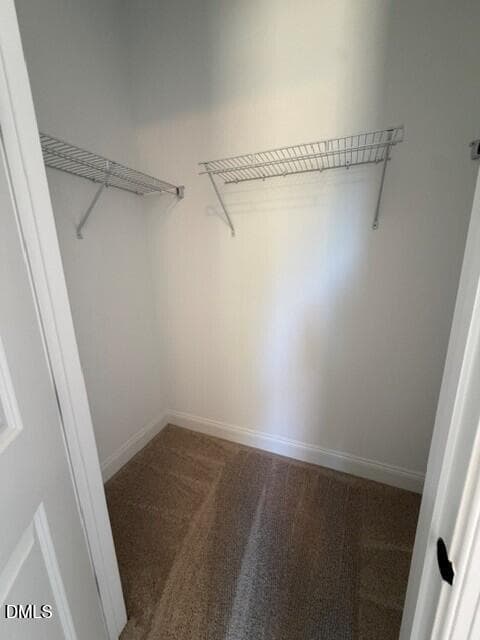 133 guest room closet - 444 Mugby Road #133, Raleigh, NC 27610