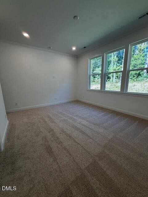 133 primary 2 - 444 Mugby Road #133, Raleigh, NC 27610