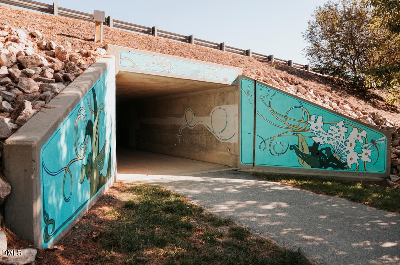 tunnel - 764 Lunar Light Drive, Wendell, NC 27591, Wendell