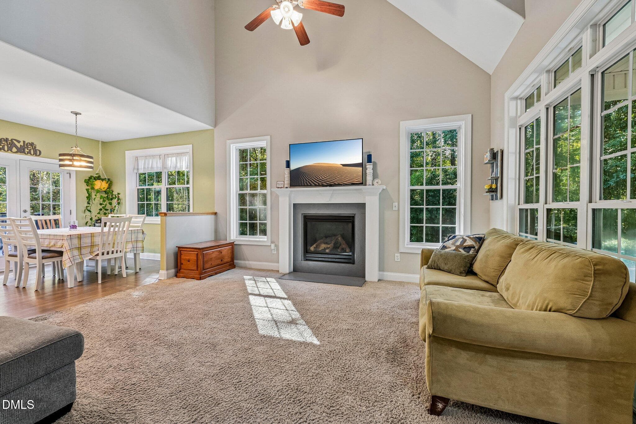 9-web-or-mls-Sinai Cir-S0810-009 - 738 Sinai Circle, Hillsborough, NC 27278, Hillsborough