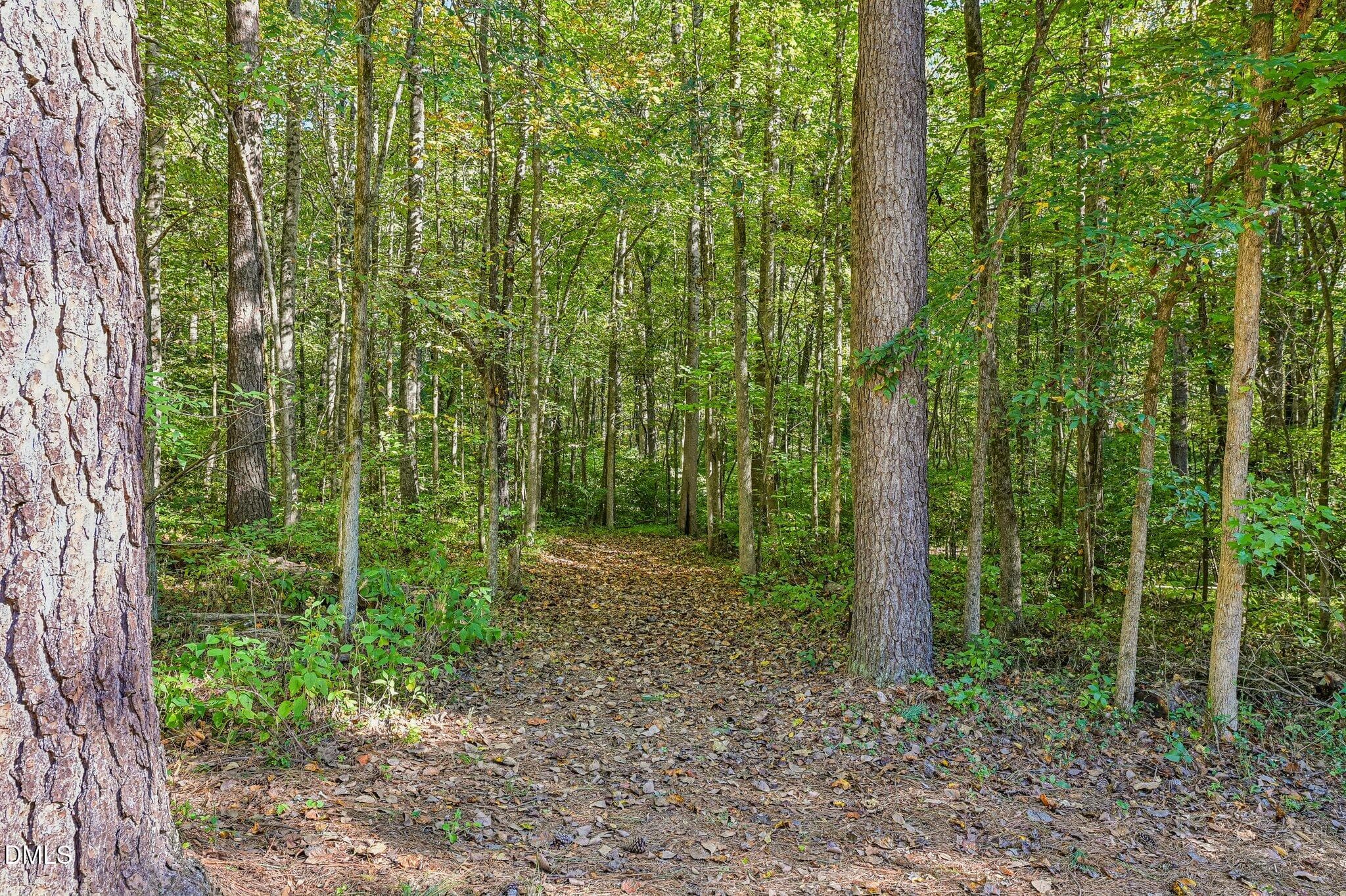 45-web-or-mls-Sinai Cir-S0810-045 - 738 Sinai Circle, Hillsborough, NC 27278, Hillsborough