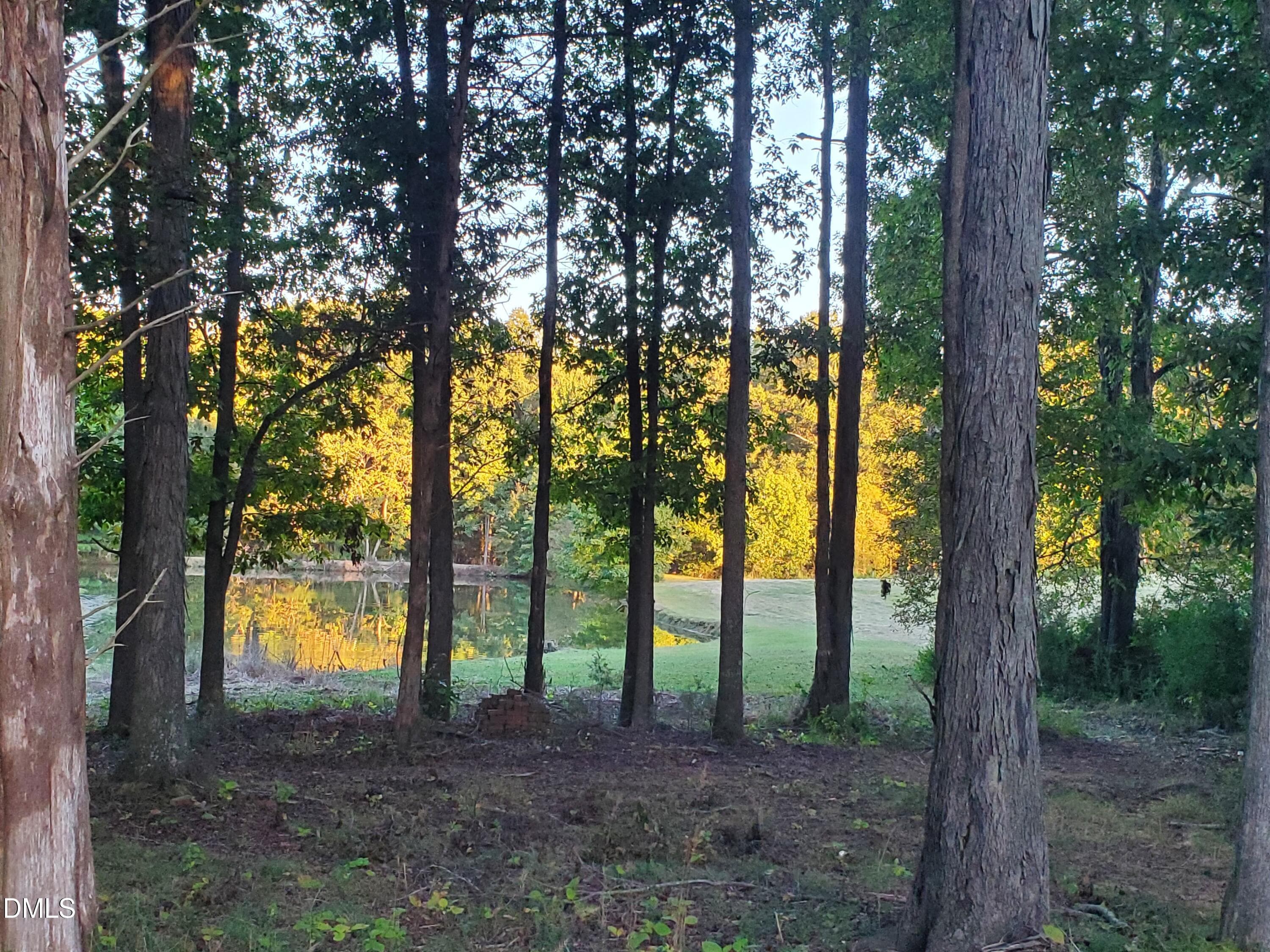 20261007_183125 - 1196 Pearleman Teague Road, Siler City, NC 27344