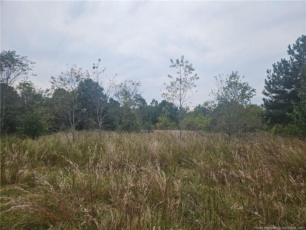 Shannon Road, Shannon, NC 28386