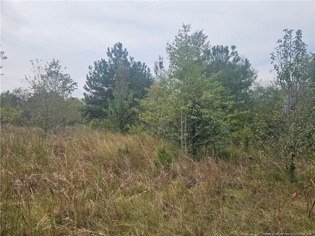 Photo 2 - Shannon Road, Shannon, NC 28386