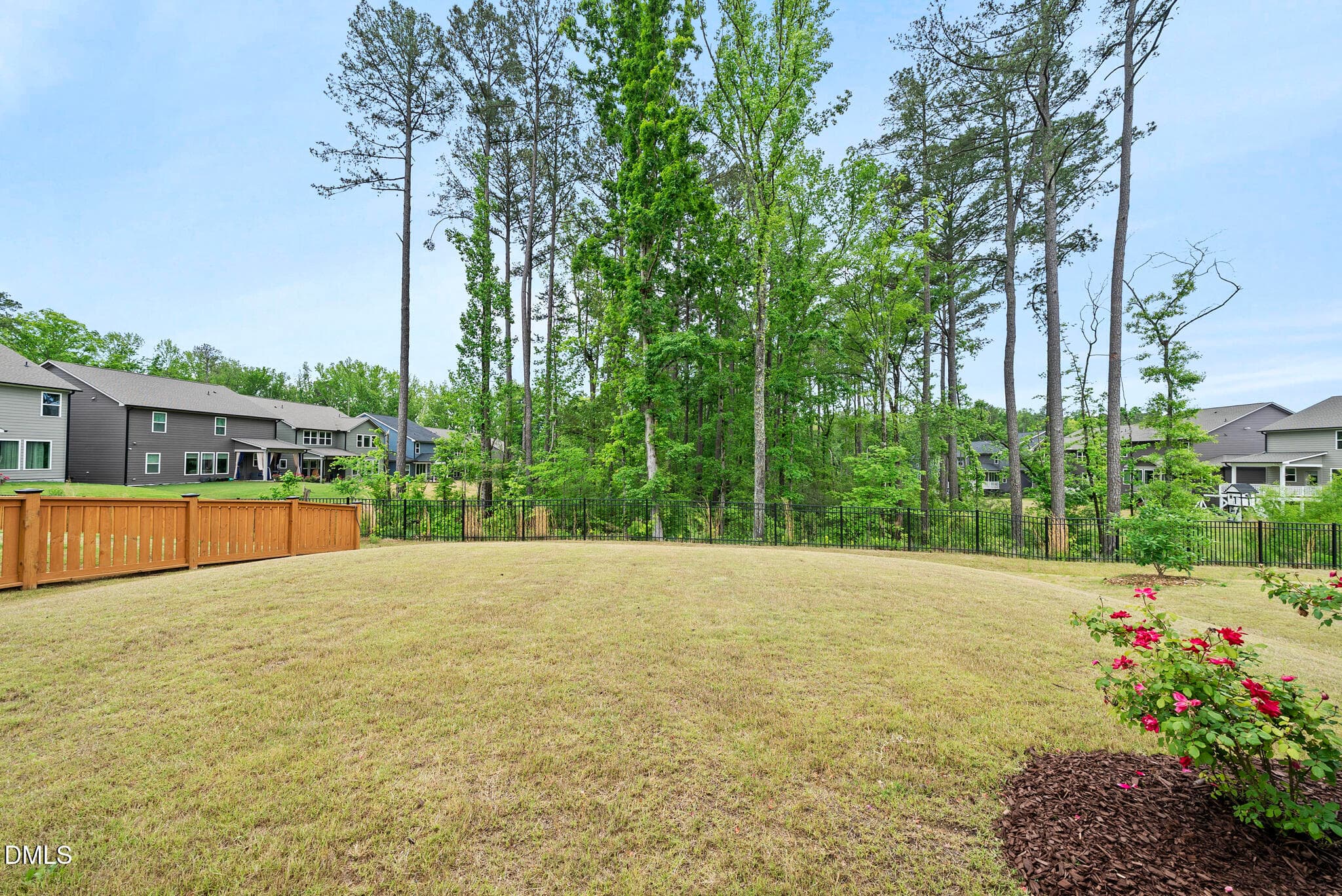 Yard - 3277 Mission Olive Place, New Hill, NC 27562, New Hill