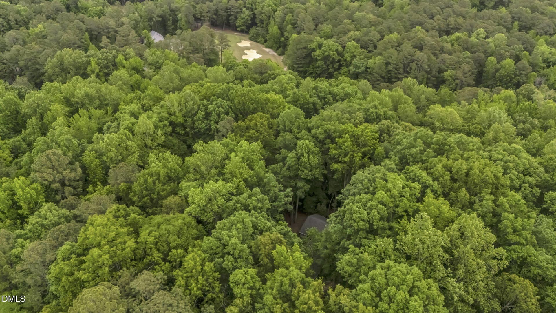 54-web-or-mls-soldography_0019_D - 140 Holly Lane, Sanford, NC 27332