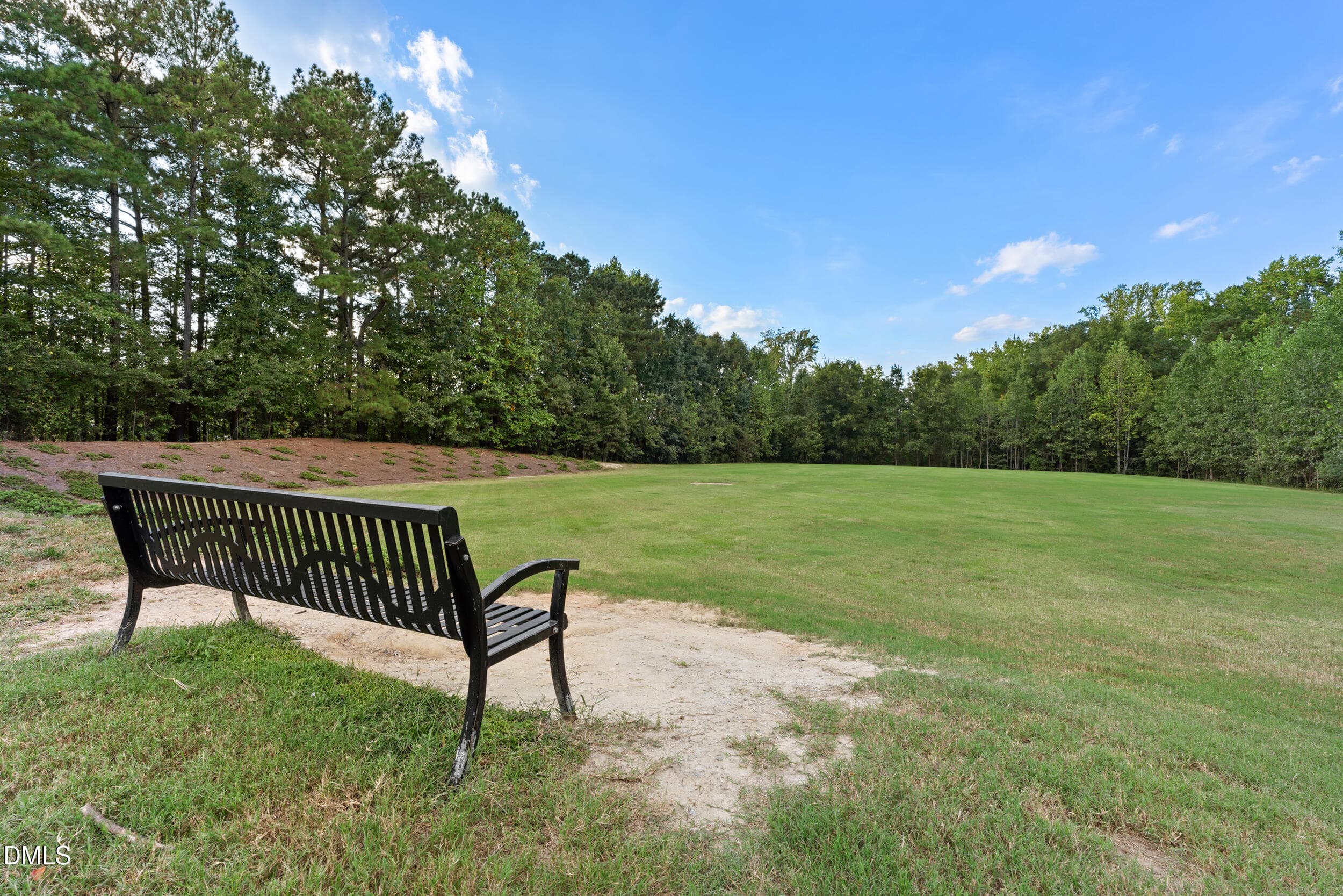 77_spp06208 - 2116 Old Rosebud Drive, Knightdale, NC 27545, Knightdale