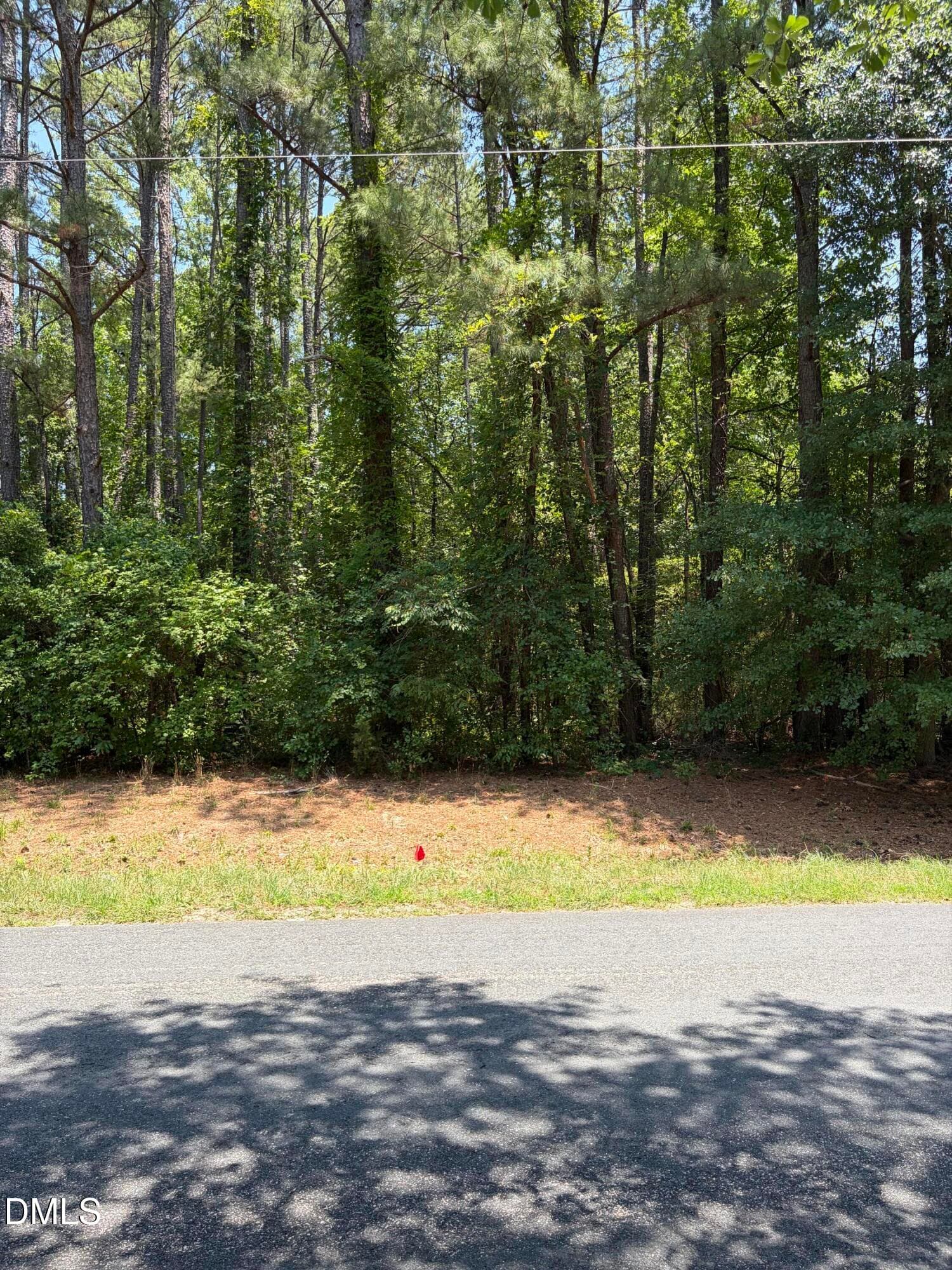 IMG_2223 - 1501 Bethel Road, Raleigh, NC 27610, Raleigh