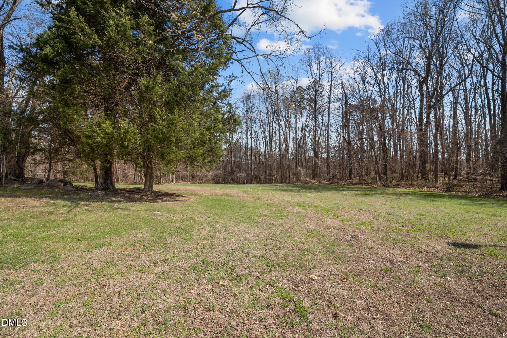 10-web-or-mls-P1110386 - 0 Boulder Court, Roxboro, NC 27574