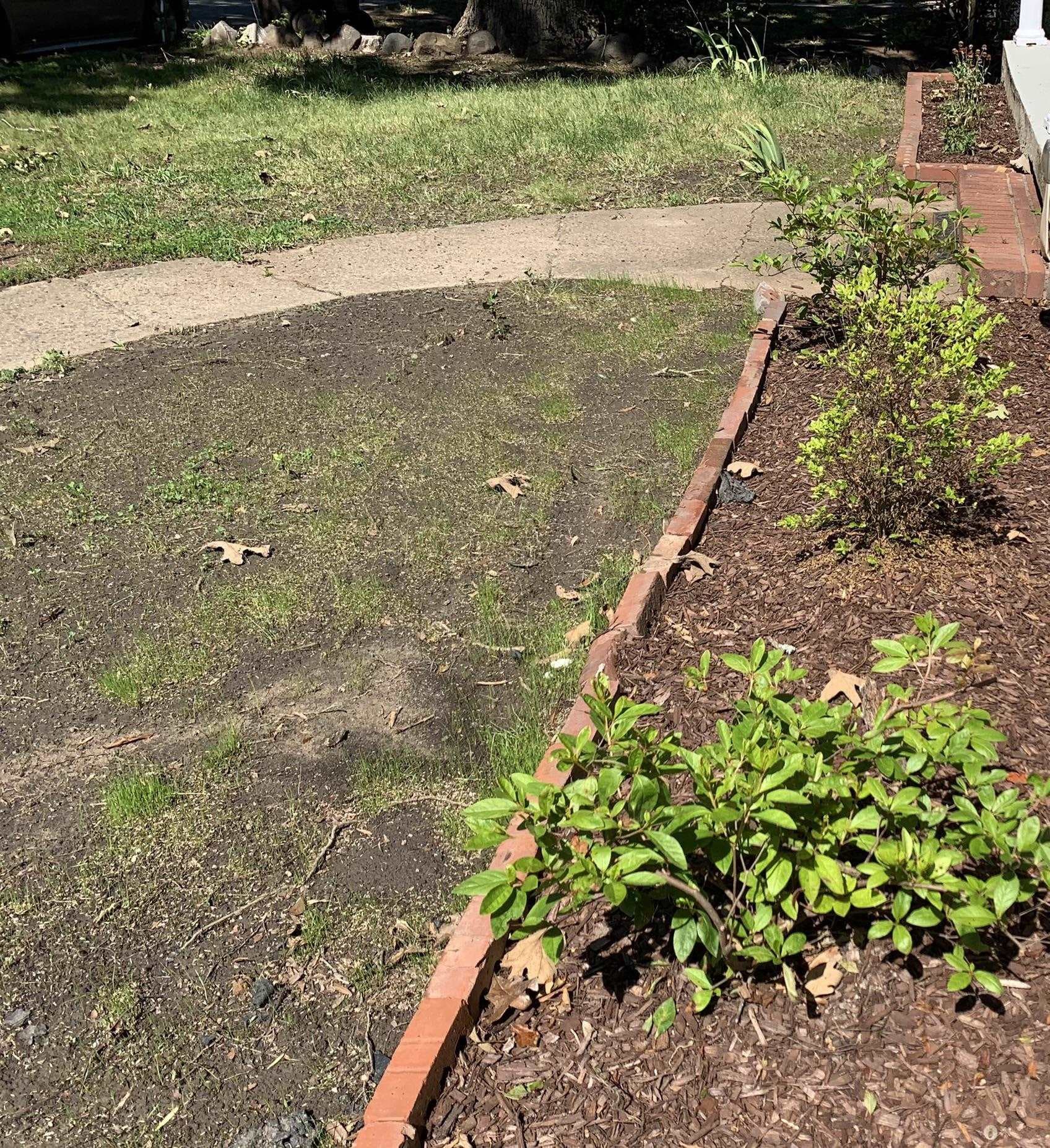 Photo 5 - 803 Eva Street, Durham, NC 27701, Durham