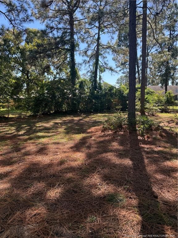 Photo 29 - 6221 Bretton Woods Drive, Hope Mills, NC 28348, Hope Mills