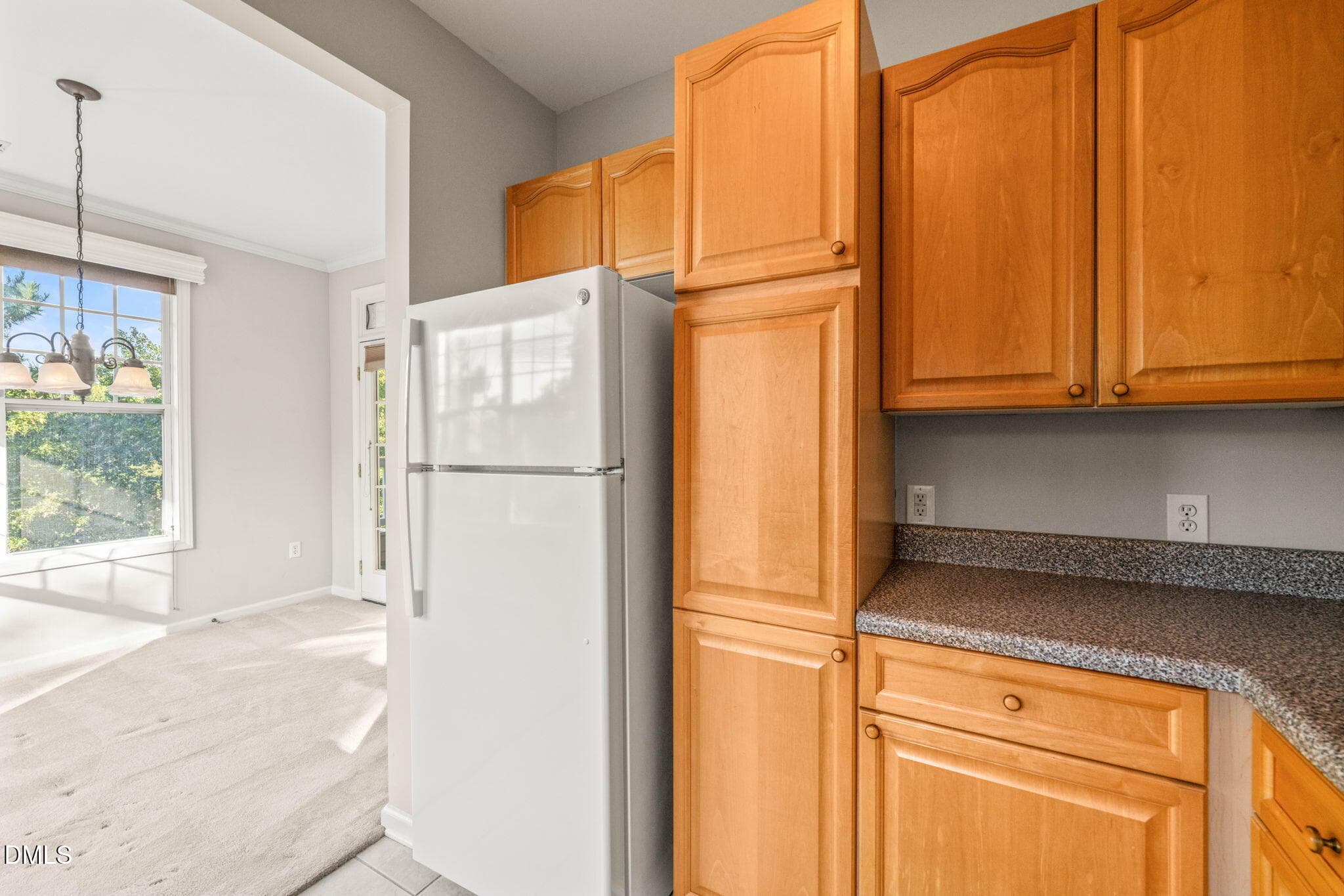 Kitchen (2) - 8221 Allyns Landing Way, Raleigh, NC 27615, Raleigh
