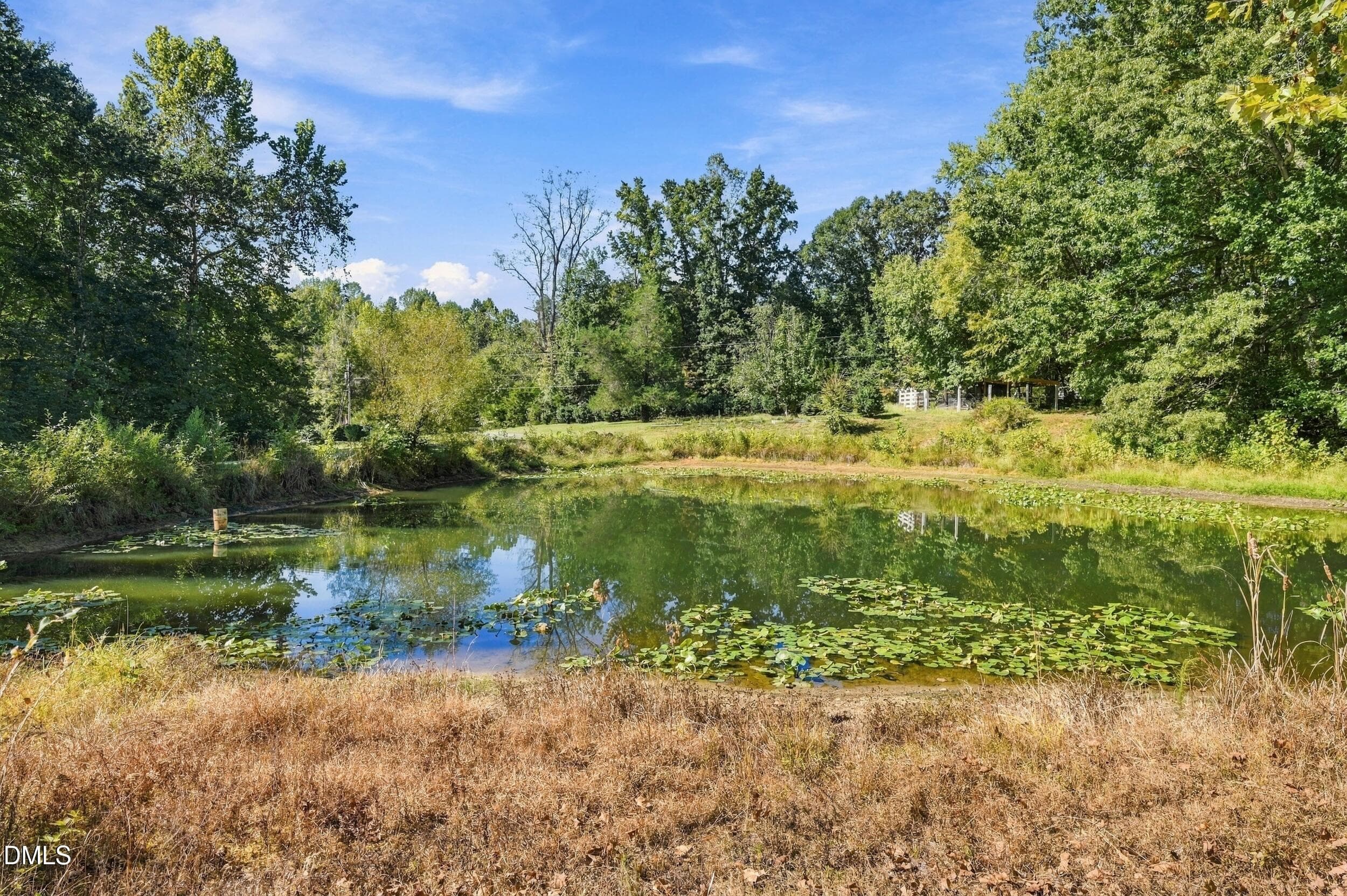 42_202 - 420 Perrytown Road, Warrenton, NC 27589