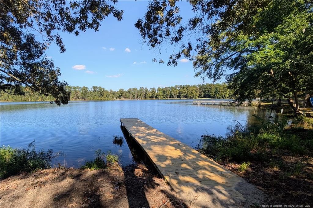 Photo 39 - 113 Lakeview Drive, Red Springs, NC 28377